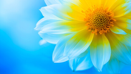 Obraz premium flower on blue background