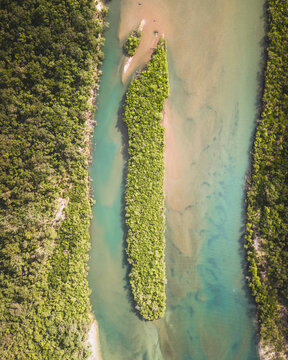 Aerial view of the tranquil Noah Creek flowing through the lush Daintree Rainforest, Cape Tribulation, Queensland, Australia.