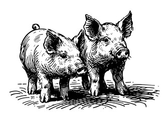 Adorable piglets illustration in rustic style – black vector © Luka