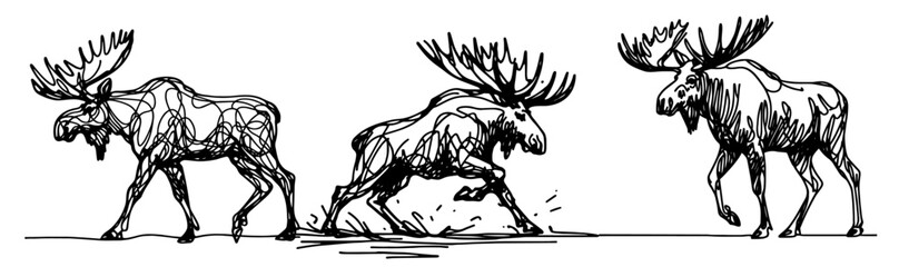 moose in movement, drawn in dynamic monoline sketch style, black vector