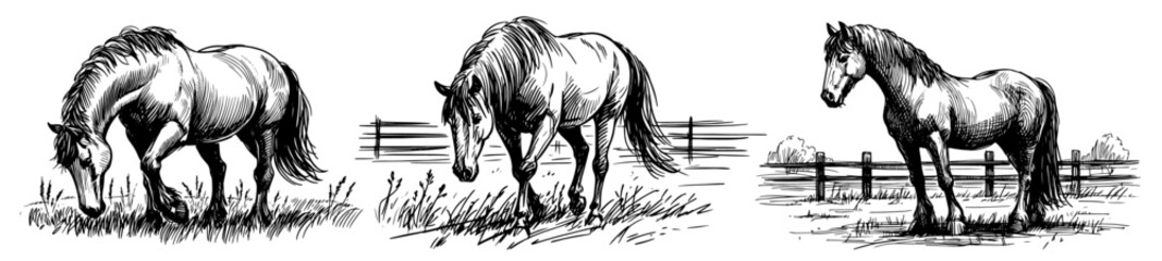 Grazing horse on a rural farm background – black vector illustration