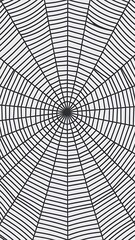 Obraz premium Seamless spider web. Connected black lines on white background