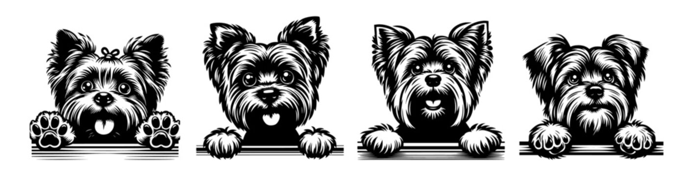 Set of Yorkshire Terrier portraits in vintage style &ndash; black vector
