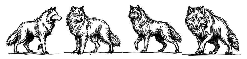 wolf pack in different poses, detailed black vector illustration