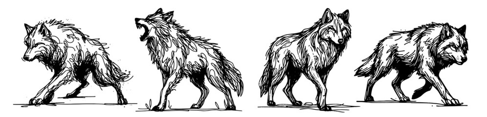 wild wolves walking, collection of black vector drawings