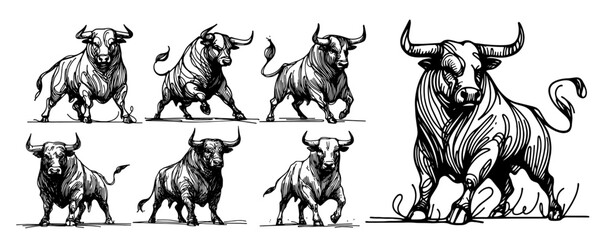 illustration of fierce bull in classic style, black vector drawing