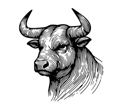 recommend clip art: black vector of bull head in abstract line art, elegant monoline design