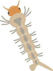 Illustration of Mosquito Larva Vector Art