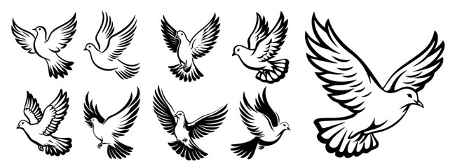black vector of peaceful doves flying, classic line art style