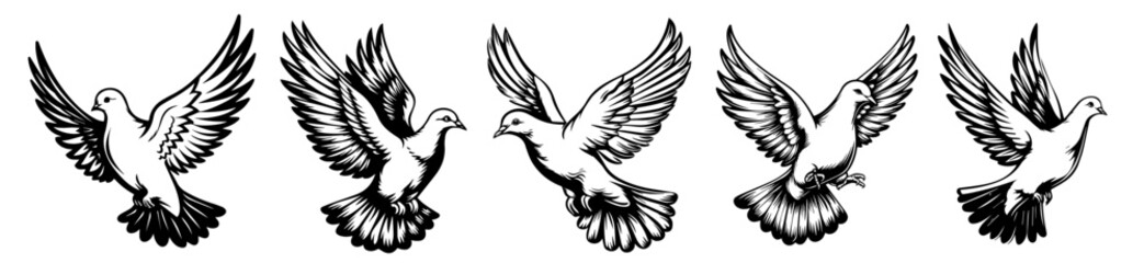 elegant doves in flight, hand-drawn black vector illustration set