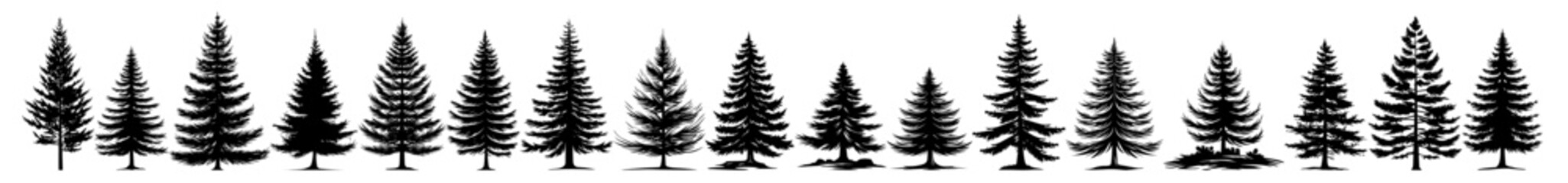 black vector set of evergreen trees in detailed hand-drawn style