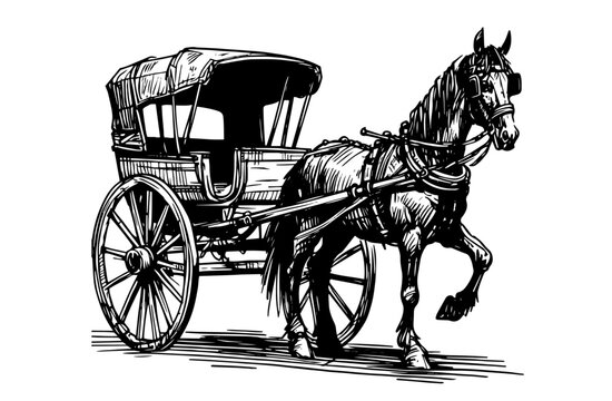 Rustic Horse Buggy in Detailed Line Art