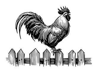 detailed black vector of rooster perched on rustic wooden fence © Luka