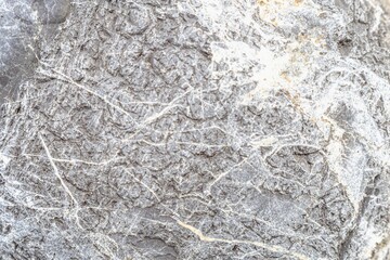 Natural texture in nature with organic stone surface and patterned texture.
