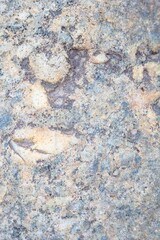 Natural texture in nature with organic stone surface and patterned texture.