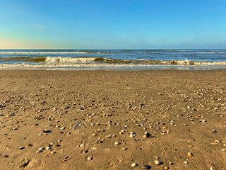 North Sea beach with shells and surf