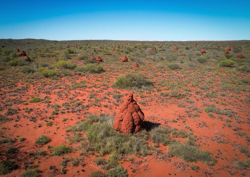 Aerial view of termite mounds on red earth in the arid Pilbara region, Onslow, Australia.