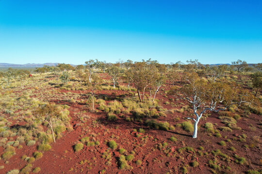 Aerial view of termite mound and red earth landscape with sparse vegetation, Karijini National Park, Tom Price, Australia.
