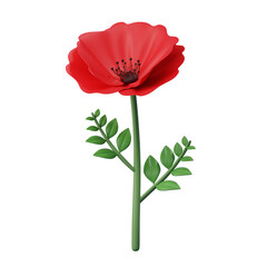 Red Poppy Flower Isolated on White Background, 3d rendering