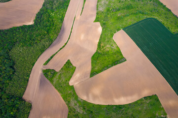 Aerial view of abstract fields and farmland with a serene forest backdrop, Silistra, Bulgaria.