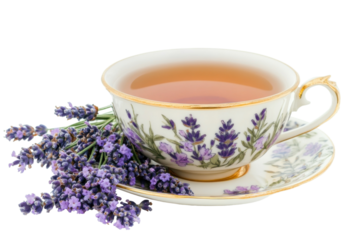 A delicate porcelain cup of lavender tea surrounded by fresh lavender blossoms in soft light