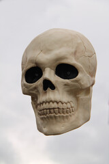 The Horror Face of a Human Skull Figure.