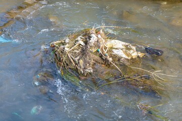 Dirty ecology environment with scattered garbage and waste of human activity