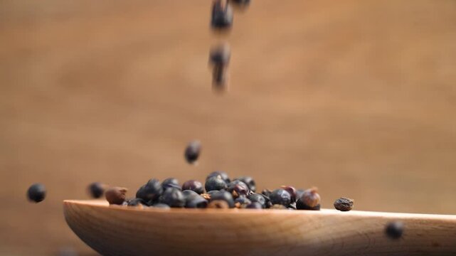 Falling dried juniper berries into a wooden spoon in slow motion. Organic natural herbal spice