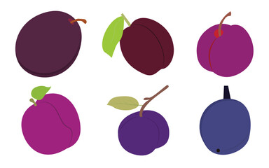 Set of Purple plum fruit vector icon illustration.