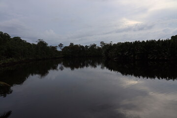 dense tropical rain forest lining a river bank and reflected in the water under cloudy skies