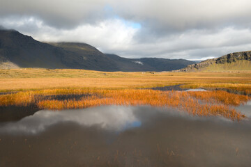 Clouds reflecting in a calm lake surface