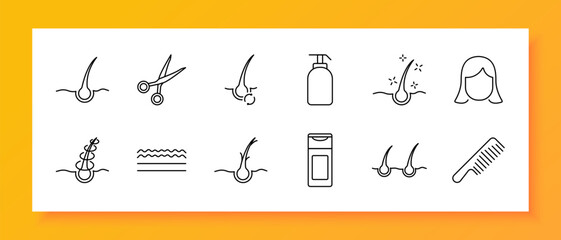 Hair and scalp care set icon. Hair follicles, pH level, injection, spray, growth, scalp, shampoo, foam, conditioner. Icons representing care treatments, scalp health, and products