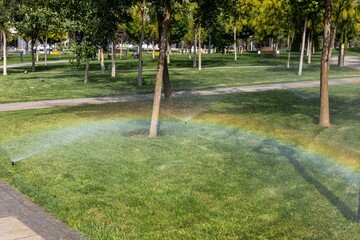 Lawn with green grass and rainbow decorating a city park in spring