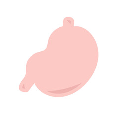 胃　イラスト