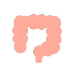 大腸　イラスト