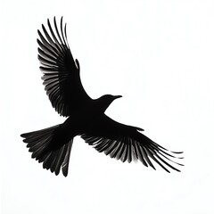 Obraz premium Silhouette of a bird in flight, isolated on a white background