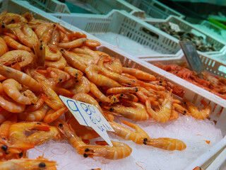 Shrimp for sale at market