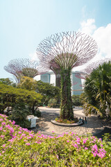 Beautiful View of Gardens by the Bay in Singapore with Unique Garden Structures