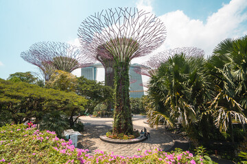 Beautiful View of Gardens by the Bay in Singapore with Unique Garden Structures