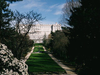 Large building and green city park