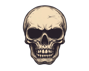 Skull illustration with detailed features and shading, showcasing realistic design. This artwork captures essence of human anatomy and can be used for various creative projects