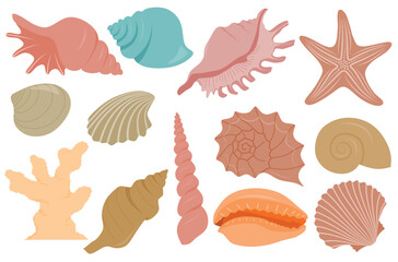Hand drawn cute colorful Sea shell cartoon set with cartoon style