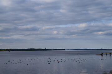 Naklejka premium Roskilde Fiord