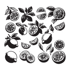 Fresh Fruit Still Life Vector, Lemon Silhouette Set, Delicious Fruits Clip Art Illustration