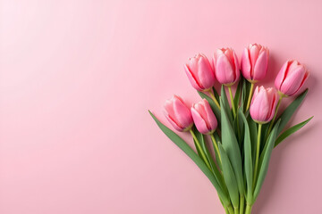 Obraz premium Beautiful composition spring flowers. Bouquet of pink tulips flowers on pastel pink background