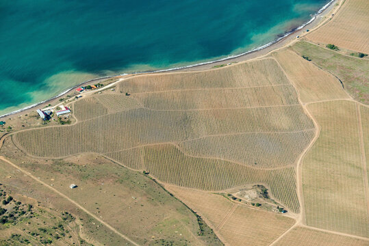 Aerial view of beautiful Novyi Svit vineyards alongside the serene coastline and tranquil sea, Crimea Peninsula, Russia.