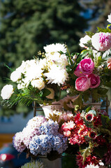 Flowers, plant beautiful, home detail