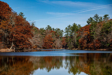 Autumn in the Forest with a lake