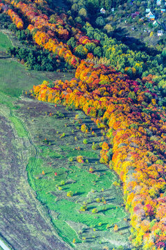 Aerial view of colorful autumn forest with vibrant foliage and serene rural landscape, Tatarstan Republic, Russia.