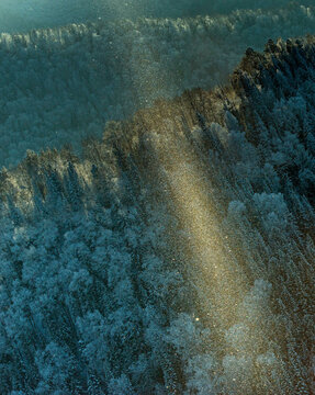 Aerial view of beautiful snow-covered forest in the Sayan Mountains, Khakassia Republic, Russia.
